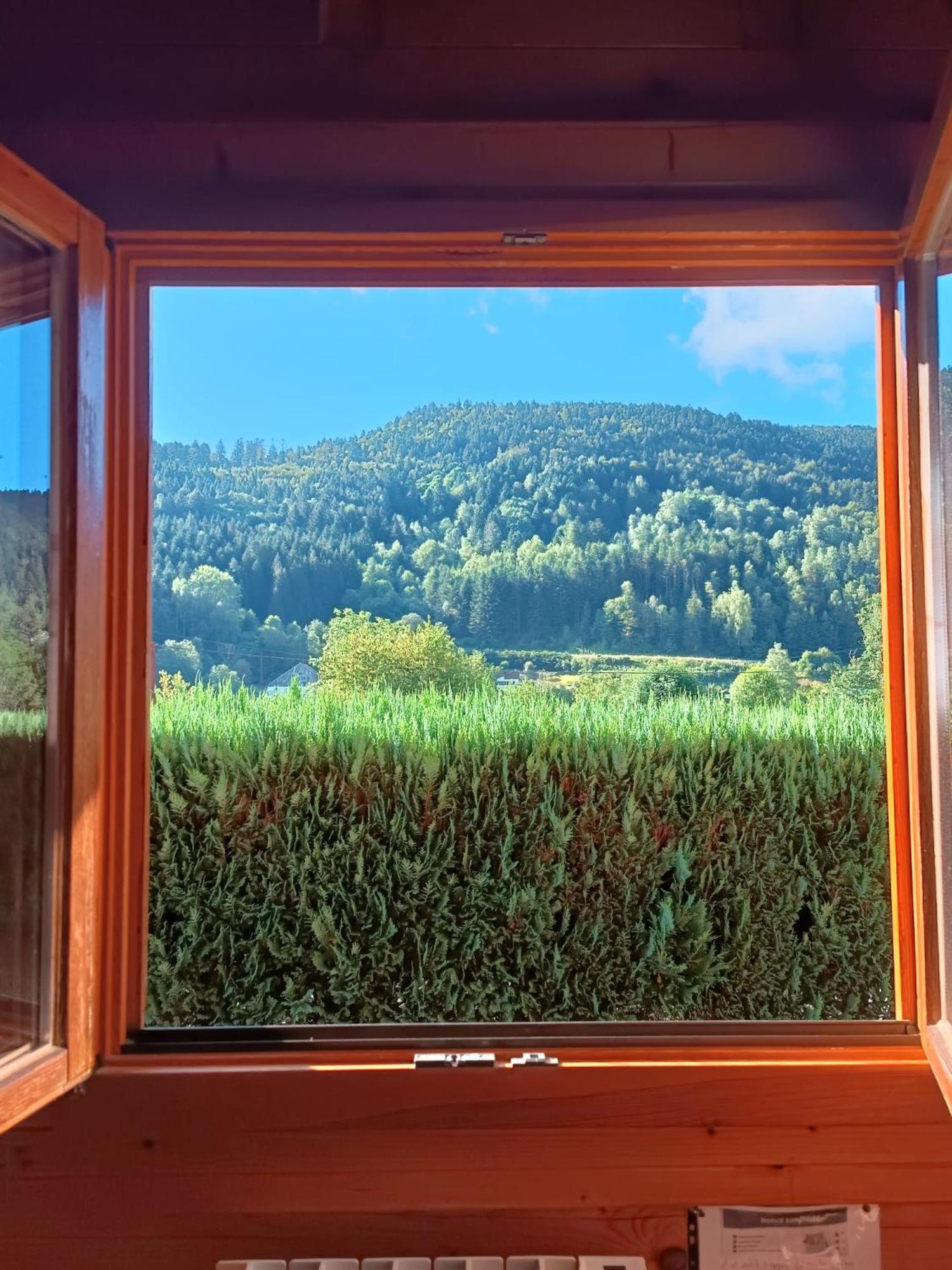 Le "Chalet De Minette" 2 Etoiles La Bresse Exterior foto